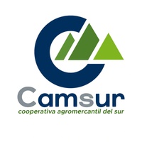 CAMSUR, R.L.